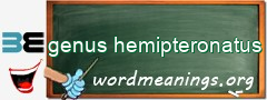 WordMeaning blackboard for genus hemipteronatus